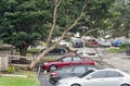 Dead Tree Blown Down onto Car in Storm Royalty Free Stock Photo