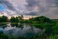 Dead Tree on Pond Shore with Reflection on Water. Royalty Free Stock Photo