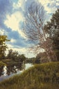 A dead, dry tree by the river at sunset. Royalty Free Stock Photo