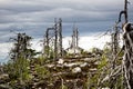 Dead dry trees of bizarre strange shape on top of Northern hills