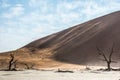 Dead dry trees and silhouettes of people on a sand dune edge Royalty Free Stock Photo