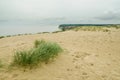Dead Dunes in Neringa, Lithuania. Royalty Free Stock Photo