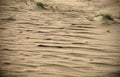 Dead Dunes in Neringa, Lithuania Royalty Free Stock Photo