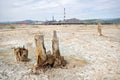 Dead ecological desert near Karabash Copper mill.
