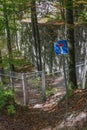 Dead end in the forest at the fence Royalty Free Stock Photo