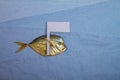 A dead fish holds a white flag in its fin as a symbol of surrender, defeat. Ecological concept Royalty Free Stock Photo