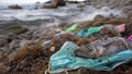 Dead Fish Tangled in Facemask. Disposed of incorrectly PPE kills marine life. Medical waste ocean pollution. Discarded Royalty Free Stock Photo