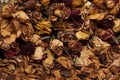 Dead flowers on the ground Royalty Free Stock Photo