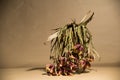 Dead flowers in a Vase on a Tabletop