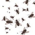 Dead Fly Royalty Free Stock Photo