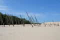 Dead forest. Moving dunes. Slowinski National Park. Leba, Poland