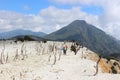 Dead forest Papandayan Mountain Royalty Free Stock Photo