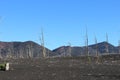 Dead Forest, Tolbachik volcano Royalty Free Stock Photo