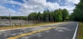 Dead Forest in Wendell