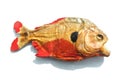 Dead and groomed piranha Royalty Free Stock Photo