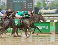 Great Horse Racing Photos from Belmont Park