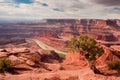 Dead Horse Point Overlook Royalty Free Stock Photo
