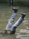 Dead ice skater head downwards in water