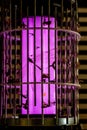 Dead insects captured on mosquito fly trap, silhouetted by the traps UV ultraviolet light, extinction of insects by human action