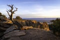 Dead Juniper Tree located in Colorado National Monument in Grand Junction Colorado