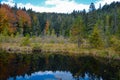 Dead lake in the forest, ÃÂ¡arpathian mountains, Skole, Ukraine Royalty Free Stock Photo