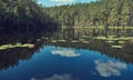 Dead lake , Myadel District. Belarus Royalty Free Stock Photo