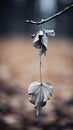a dead leaf hanging from a branch in front of a blurry background