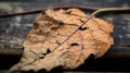 a dead leaf laying on a wooden surface