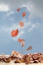 Dead leaves flying away from a wooden table with copy space for your text Royalty Free Stock Photo