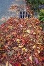 Dead leaves and pine needles collecting on a residential street and curb, sewar drain grate cleaned off Royalty Free Stock Photo