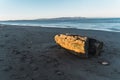 Dead log in the sand on a beach with the waves reaching the sand