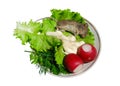 Dead mouse on a porcelain dish with radishes, dill, lettuce and sauce.