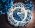 Dead nature with blue flower on a blue ancient plate