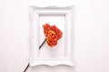 Dead orange rose in a white frame for a photo on a white background Royalty Free Stock Photo