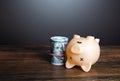 Dead pig piggy bank with money. Financial crisis, depletion of savings and bankruptcy. Default, non-payment of obligations.