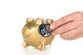 Dead piggy bank Royalty Free Stock Photo
