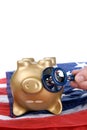 Dead piggy bank Royalty Free Stock Photo