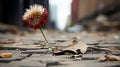 a dead plant on the ground