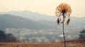 a dead plant in the middle of a field with mountains in the background