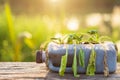 Dead plant or vegetable in plastic bottle on wooden table with s