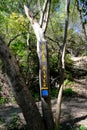 Dead River Trail Sign Royalty Free Stock Photo