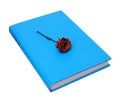 Dead rose on hardcover blue book Royalty Free Stock Photo