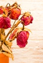 Dead roses bouquet Royalty Free Stock Photo