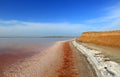 Dead salt lake shore