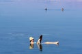 Dead Sea Royalty Free Stock Photo