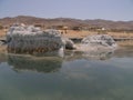 Dead Sea beach Royalty Free Stock Photo