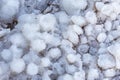 Dead Sea beach salt lump close-up macro. Royalty Free Stock Photo