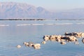 Dead Sea beach salt lump. Royalty Free Stock Photo