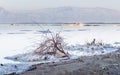 Dead Sea beach salt lump. Royalty Free Stock Photo