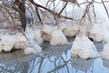 Dead Sea beach salt lump. Royalty Free Stock Photo